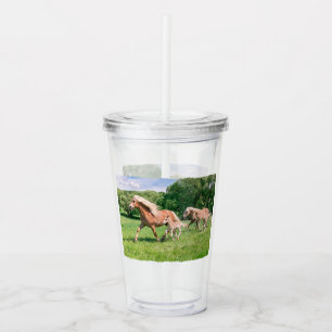 Haflinger Horses Cute Foals Run Funny Animal Photo Acrylic Tumbler