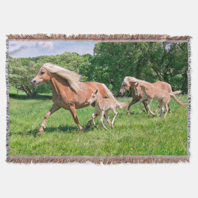 Haflinger Horses with Cute Foals Run Funny Photo - Throw Blanket (Front)