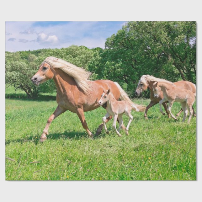 Haflinger Horses with Cute Foals Run Funny Photo * Wrapping Paper (Flat)