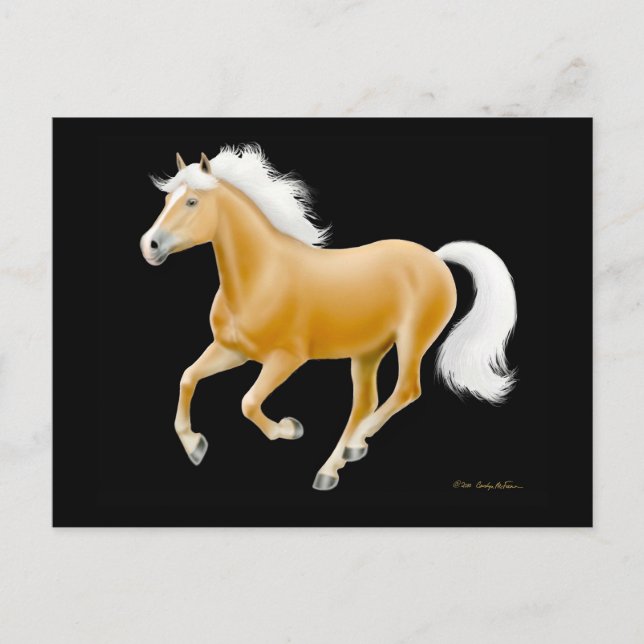 Haflinger Palomino Horse Postcard (Front)
