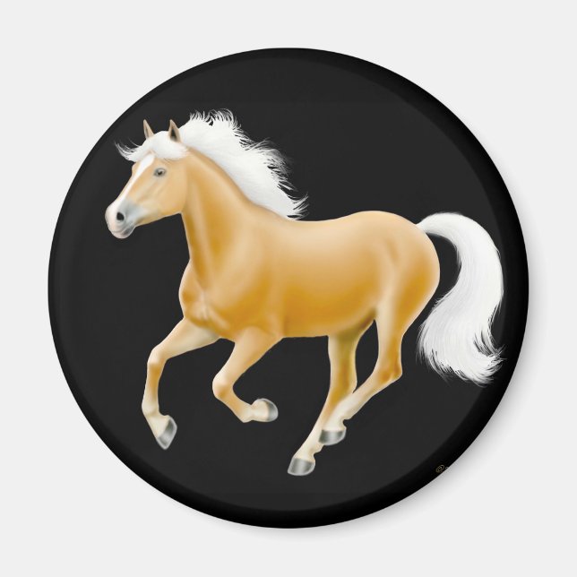 Haflinger Palomino Magnet noir (Devant)
