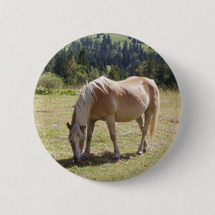 Haflinger Palomino Pony in Summer Pasture Photo 2 Inch Round Button
