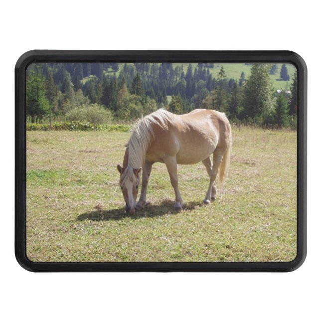 Haflinger Palomino Pony in Summer Pasture Photo Trailer Hitch Cover (Front)