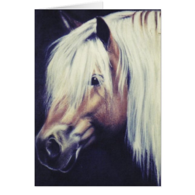 "Haflinger Pony" equine card (Front)