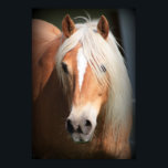 Haflinger Poster<br><div class="desc">Haflinger Horse</div>