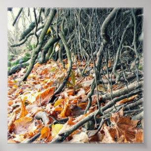 Hafren river bank poster