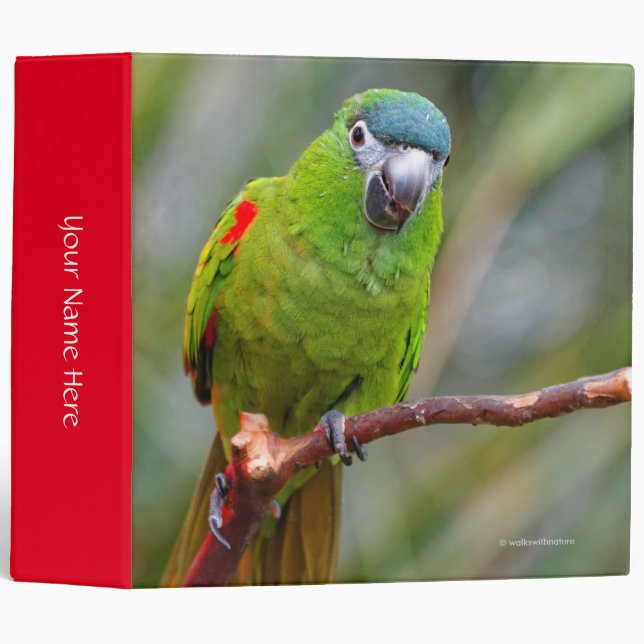 Hahn's Mini Macaw / Red-Shouldered Macaw Binder (Front/Spine)
