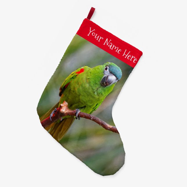Hahn's Mini Macaw / Red-Shouldered Macaw Large Christmas Stocking (Front (Hanging))
