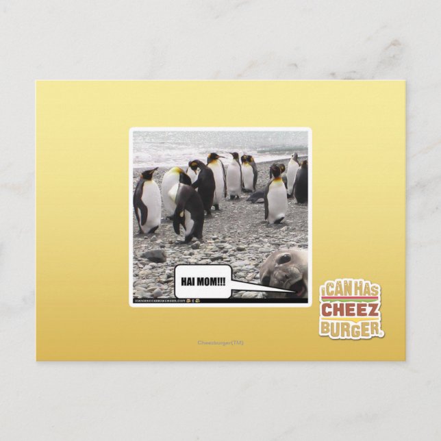 HAI MOM!!! POSTCARD (Front)