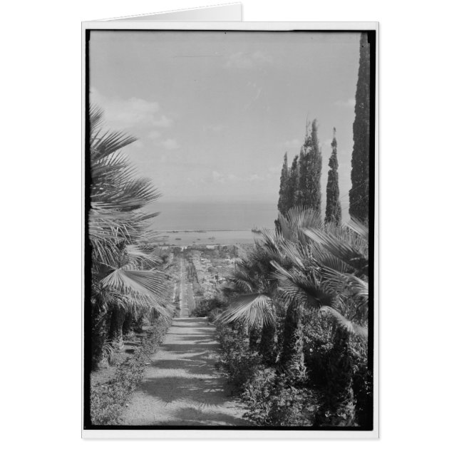 Haïfa - du mont Carmel, CA 1920 (Devant)