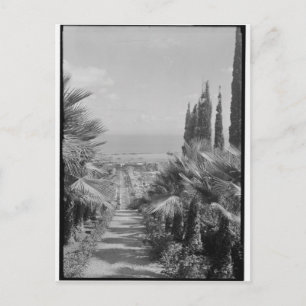 Haifa - from Mt. Carmel, 1920s Postcard