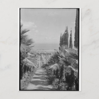 Haifa - from Mt. Carmel, 1920s Postcard