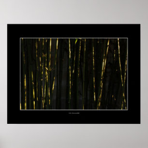 HAIKU Bamboo trees Poster