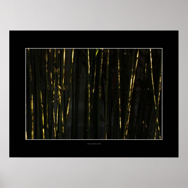 HAIKU  Bamboo trees Poster (Front)