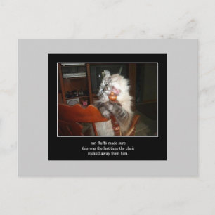 haiku cat 15 postcard