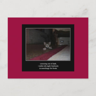 haiku cat 1 carte postale