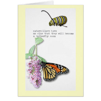 Haiku de papillon