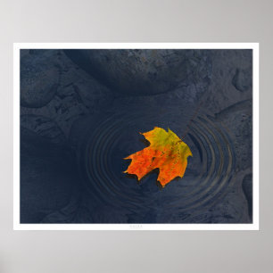 Haiku Poster