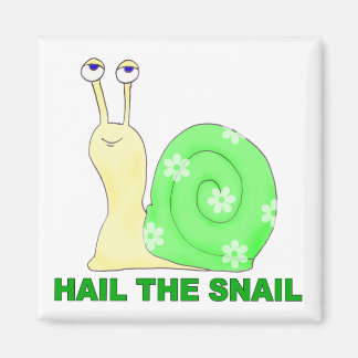 Hail the snail magnet