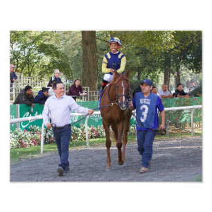 Hail To by Kitten's Joy  Photo Print