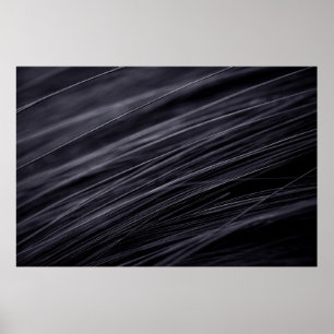 Hair Poster