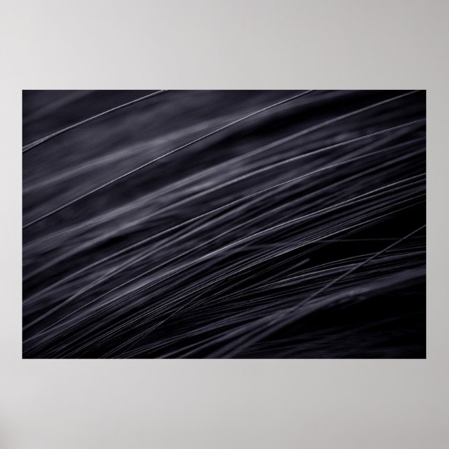 Hair Poster (Front)
