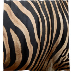hair skin of zebraskin,animal,background,black,bod