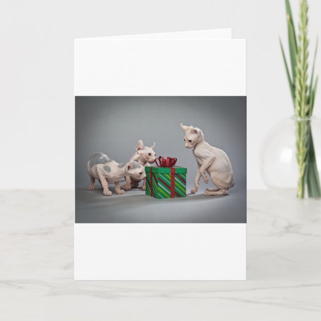 HAIRLESS CAT'S CHRISTMAS HOLIDAY CARD (Front)