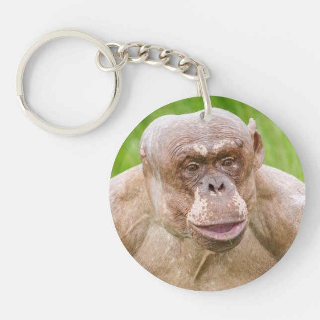 Hairless Chimpanzee Magnet Keychain (Front)