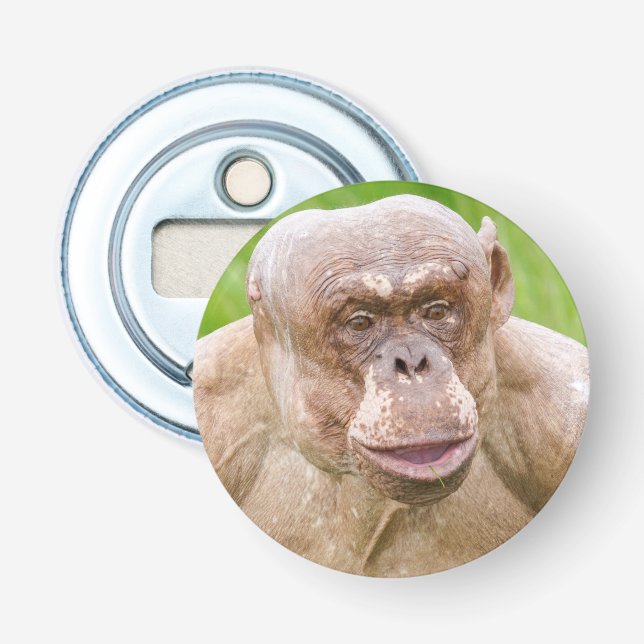 Hairless Chimpanzee Magnet Keychain Bottle Opener (Front)