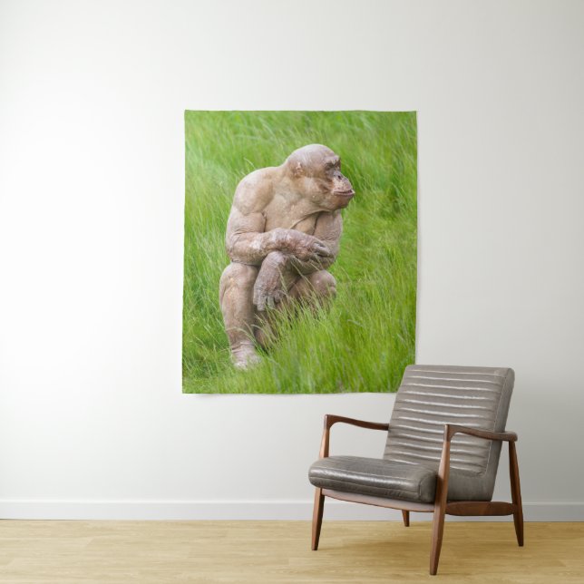 Hairless Chimpanzee Tapestry (In Situ)