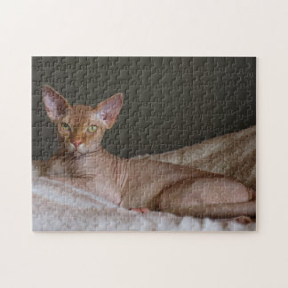 Hairless Sphinx Cat Jigsaw Puzzle