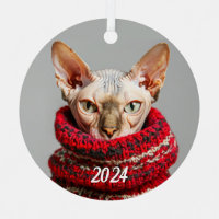 Hairless Sphynx Cat in a sweater