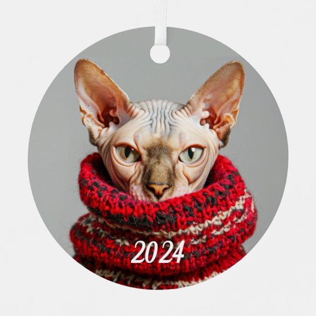 Hairless Sphynx Cat in a sweater Metal Ornament (Front)