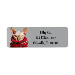 Hairless Sphynx Cat in a Sweater Return Address
