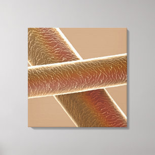 Hairs Canvas Print