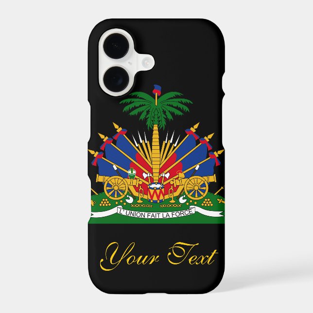 Haiti Flag (Back)