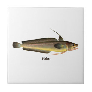 Hake Fish Logo Tile