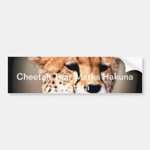 Hakuna Matata Feline Customize gift  Product Bumper Sticker