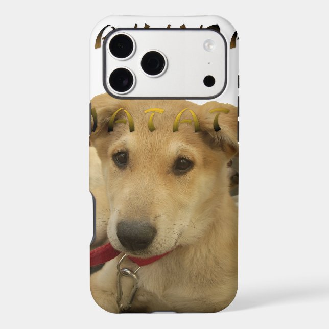 Hakuna Matata I know what you are thinking pinctur (Back)