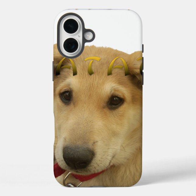 Hakuna Matata I know what you are thinking pinctur Case-Mate iPhone Case (Back)