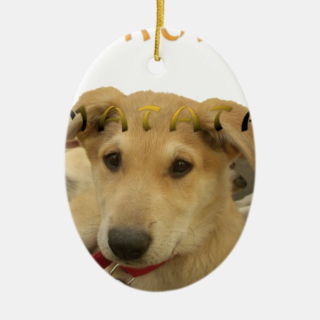 Hakuna Matata I know what you are thinking pinctur Ceramic Ornament (Front)