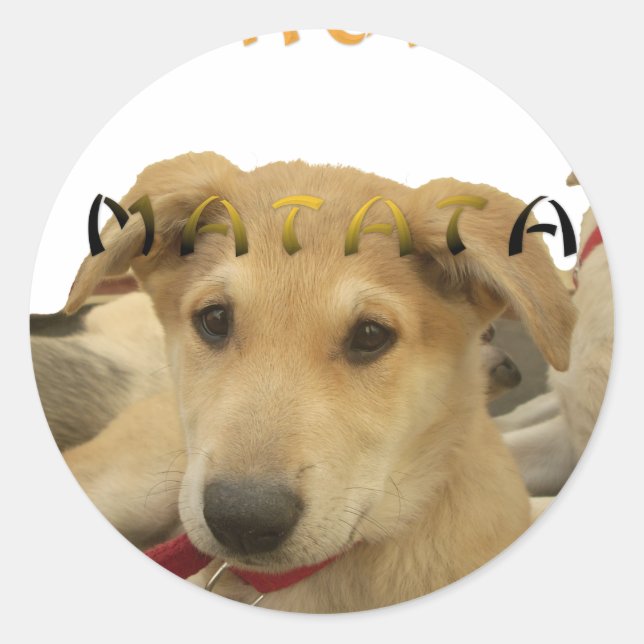 Hakuna Matata I know what you are thinking pinctur Classic Round Sticker (Front)