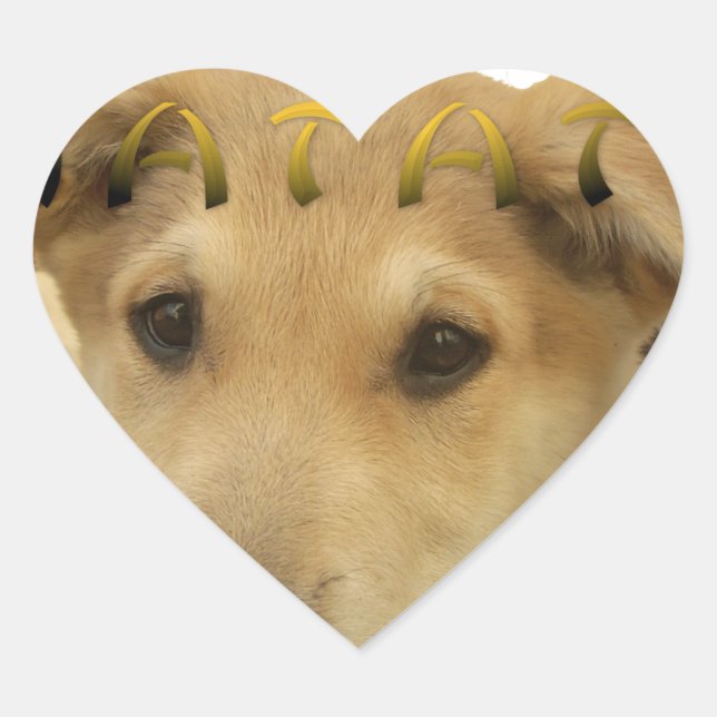 Hakuna Matata I know what you are thinking pinctur Heart Sticker (Front)