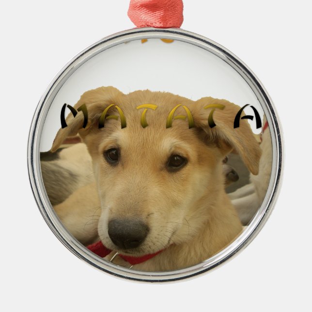 Hakuna Matata I know what you are thinking pinctur Metal Ornament (Front)