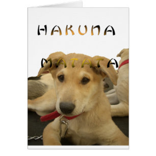 Hakuna Matata Je sais ce que vous pensez pinctur