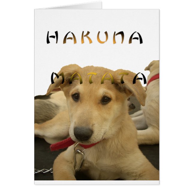 Hakuna Matata Je sais ce que vous pensez pinctur (Devant)