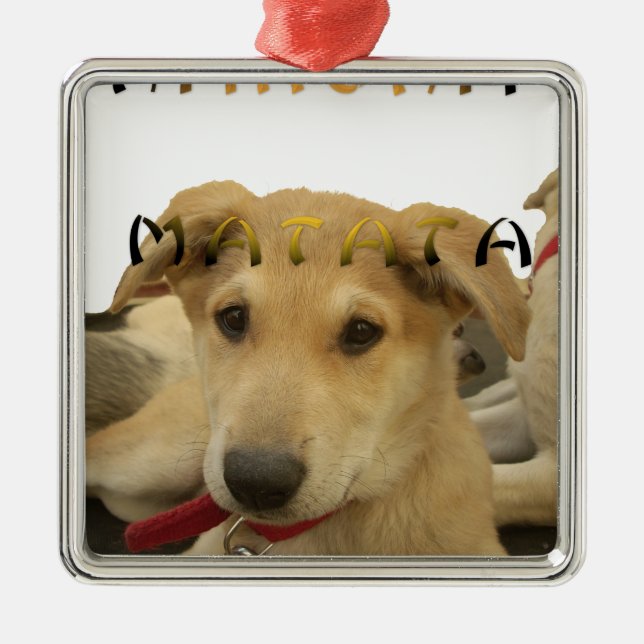 "Hakuna Matata Pup" – Worry-Free Puppy Love Metal Ornament (Front)