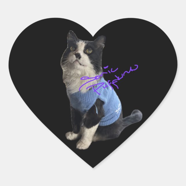 Hakuzi Heart Stickers (Front)