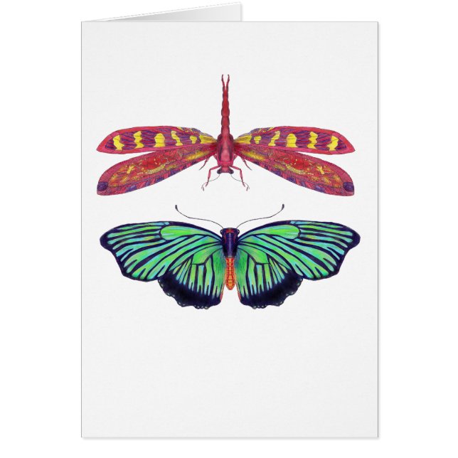 Hal et rouge (Devant)